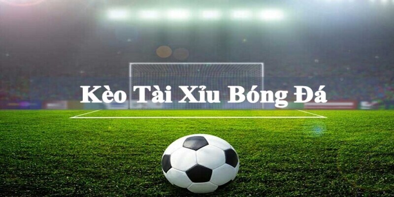 Một số nét chính về kèo tài xỉu 1 trái Vua88