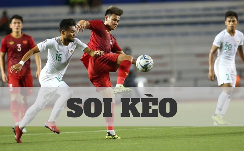 Không nên đặt cược theo các hiệu ứng đám đông