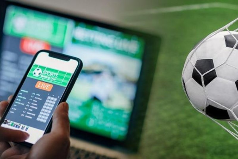 Tại sao nên tham gia cá độ tại web